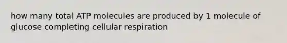 how many total ATP molecules are produced by 1 molecule of glucose completing cellular respiration