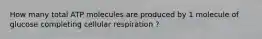 How many total ATP molecules are produced by 1 molecule of glucose completing cellular respiration ?