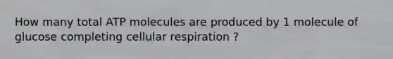 How many total ATP molecules are produced by 1 molecule of glucose completing cellular respiration ?