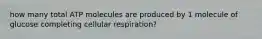 how many total ATP molecules are produced by 1 molecule of glucose completing cellular respiration?