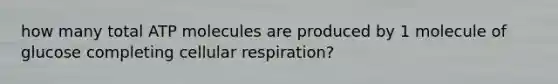 how many total ATP molecules are produced by 1 molecule of glucose completing cellular respiration?