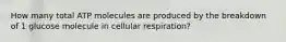 How many total ATP molecules are produced by the breakdown of 1 glucose molecule in cellular respiration?