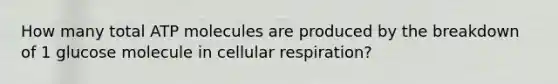 How many total ATP molecules are produced by the breakdown of 1 glucose molecule in cellular respiration?