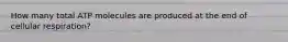 How many total ATP molecules are produced at the end of cellular respiration?