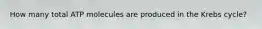How many total ATP molecules are produced in the Krebs cycle?