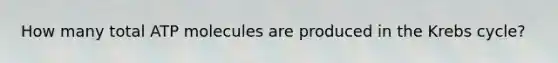 How many total ATP molecules are produced in the Krebs cycle?