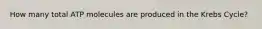 How many total ATP molecules are produced in the Krebs Cycle?