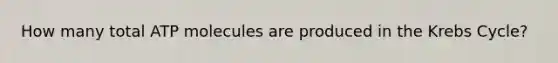 How many total ATP molecules are produced in the <a href='https://www.questionai.com/knowledge/kqfW58SNl2-krebs-cycle' class='anchor-knowledge'>krebs cycle</a>?