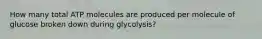 How many total ATP molecules are produced per molecule of glucose broken down during glycolysis?