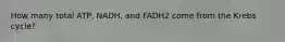 How many total ATP, NADH, and FADH2 come from the Krebs cycle?