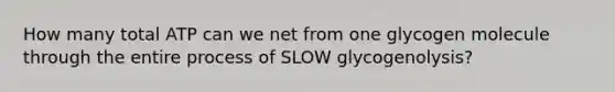 How many total ATP can we net from one glycogen molecule through the entire process of SLOW glycogenolysis?