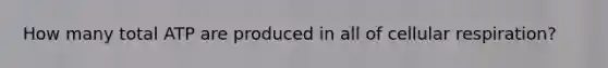 How many total ATP are produced in all of cellular respiration?