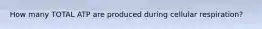 How many TOTAL ATP are produced during cellular respiration?