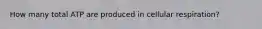How many total ATP are produced in cellular respiration?