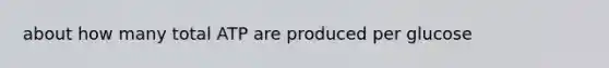 about how many total ATP are produced per glucose