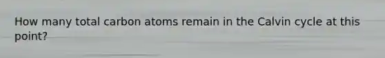 How many total carbon atoms remain in the Calvin cycle at this point?
