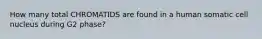 How many total CHROMATIDS are found in a human somatic cell nucleus during G2 phase?