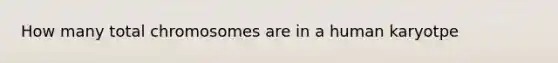 How many total chromosomes are in a human karyotpe