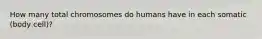 How many total chromosomes do humans have in each somatic (body cell)?