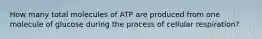 How many total molecules of ATP are produced from one molecule of glucose during the process of cellular respiration?