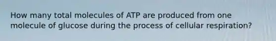 How many total molecules of ATP are produced from one molecule of glucose during the process of cellular respiration?