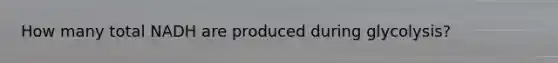 How many total NADH are produced during glycolysis?