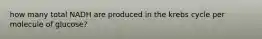 how many total NADH are produced in the krebs cycle per molecule of glucose?