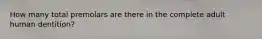 How many total premolars are there in the complete adult human dentition?