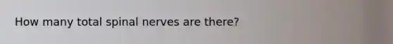 How many total spinal nerves are there?