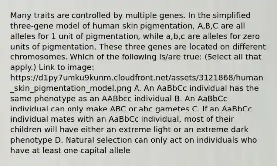 Many traits are controlled by multiple genes. In the simplified three-gene model of human skin pigmentation, A,B,C are all alleles for 1 unit of pigmentation, while a,b,c are alleles for zero units of pigmentation. These three genes are located on different chromosomes. Which of the following is/are true: (Select all that apply.) Link to image: https://d1py7umku9kunm.cloudfront.net/assets/3121868/human_skin_pigmentation_model.png A. An AaBbCc individual has the same phenotype as an AABbcc individual B. An AaBbCc individual can only make ABC or abc gametes C. If an AaBbCc individual mates with an AaBbCc individual, most of their children will have either an extreme light or an extreme dark phenotype D. Natural selection can only act on individuals who have at least one capital allele