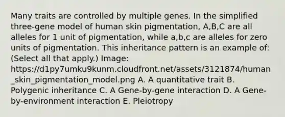 Many traits are controlled by multiple genes. In the simplified three-gene model of human skin pigmentation, A,B,C are all alleles for 1 unit of pigmentation, while a,b,c are alleles for zero units of pigmentation. This inheritance pattern is an example of: (Select all that apply.) Image: https://d1py7umku9kunm.cloudfront.net/assets/3121874/human_skin_pigmentation_model.png A. A quantitative trait B. Polygenic inheritance C. A Gene-by-gene interaction D. A Gene-by-environment interaction E. Pleiotropy