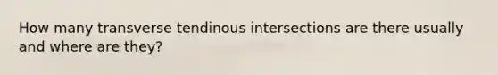 How many transverse tendinous intersections are there usually and where are they?