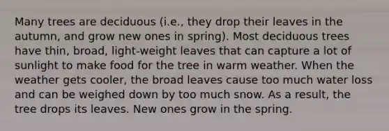 Many trees are deciduous (i.e., they drop their leaves in the autumn, and grow new ones in spring). Most deciduous trees have thin, broad, light-weight leaves that can capture a lot of sunlight to make food for the tree in warm weather. When the weather gets cooler, the broad leaves cause too much water loss and can be weighed down by too much snow. As a result, the tree drops its leaves. New ones grow in the spring.