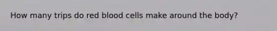 How many trips do red blood cells make around the body?