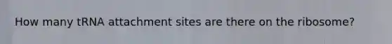 How many tRNA attachment sites are there on the ribosome?