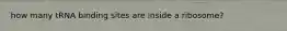 how many tRNA binding sites are inside a ribosome?