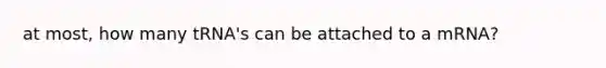 at most, how many tRNA's can be attached to a mRNA?