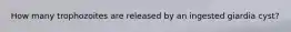 How many trophozoites are released by an ingested giardia cyst?
