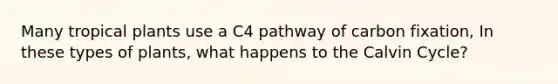 Many tropical plants use a C4 pathway of carbon fixation, In these types of plants, what happens to the Calvin Cycle?