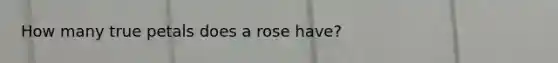 How many true petals does a rose have?