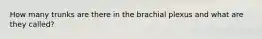 How many trunks are there in the brachial plexus and what are they called?