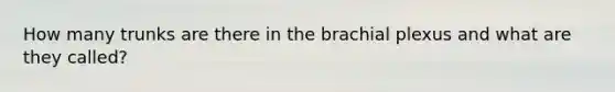 How many trunks are there in the brachial plexus and what are they called?