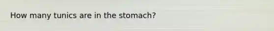 How many tunics are in <a href='https://www.questionai.com/knowledge/kLccSGjkt8-the-stomach' class='anchor-knowledge'>the stomach</a>?