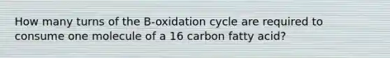 How many turns of the B-oxidation cycle are required to consume one molecule of a 16 carbon fatty acid?