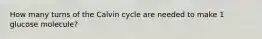 How many turns of the Calvin cycle are needed to make 1 glucose molecule?