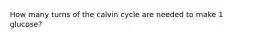 How many turns of the calvin cycle are needed to make 1 glucose?