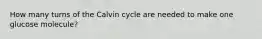 How many turns of the Calvin cycle are needed to make one glucose molecule?