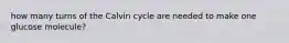 how many turns of the Calvin cycle are needed to make one glucose molecule?