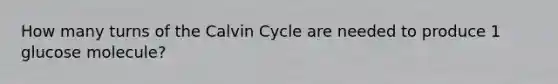 How many turns of the Calvin Cycle are needed to produce 1 glucose molecule?