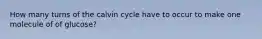 How many turns of the calvin cycle have to occur to make one molecule of of glucose?